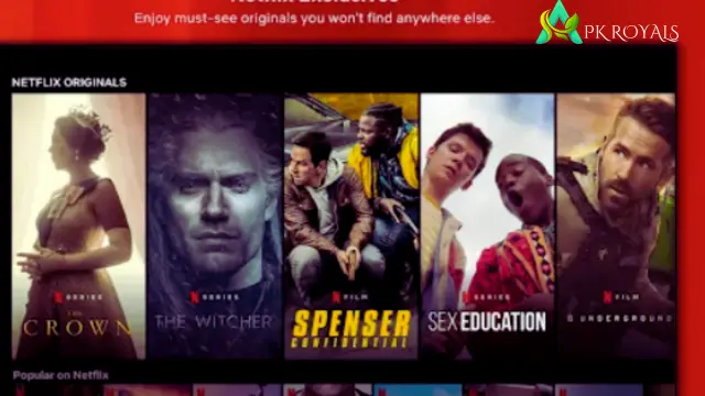 Netflix Mirror APK